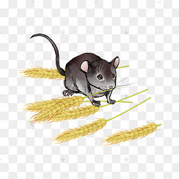 生肖鼠鼠年手绘剪纸风老鼠报福