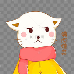 小猫满脸嫌弃表情包