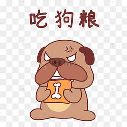 可爱狗狗吃狗粮