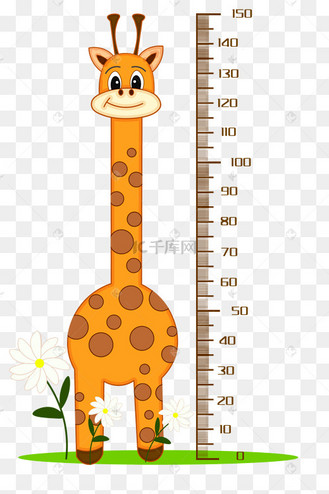可爱长颈鹿测身高