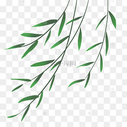 清明节风里的柳枝清明节手绘柳枝素材春分绿色小清新微风拂动柳树柳枝