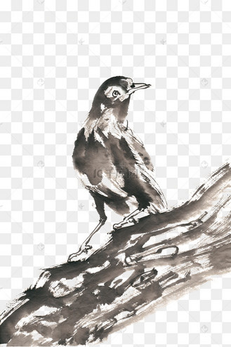 树干上站立的鸟水墨画png免抠素材