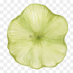 水彩手绘池塘荷叶