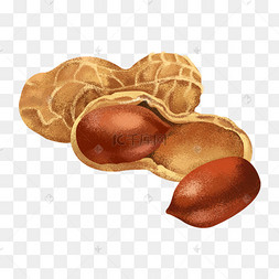 png下载psd剥开的花生插图装饰下载 png下载psd黄色的花生手绘插画