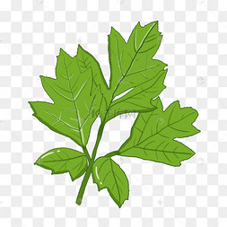 png下载psd蔬菜芹菜叶子标签下载 png下载psd手绘线描萝卜插画下载