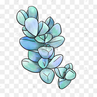 手绘鹿角海棠png素材