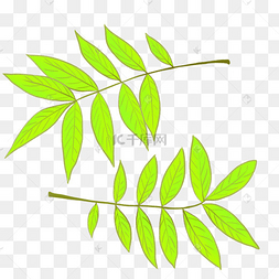 卡通长树叶