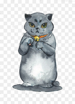 猫咪宠物蓝猫可爱萌png英短