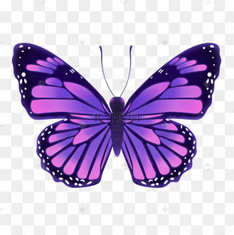 紫色蝴蝶png素材
