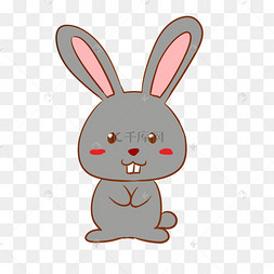 动物绘画牙齿图