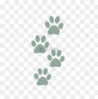 小狗熊的灰色脚印