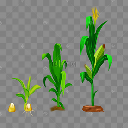 装种子的袋子卡通