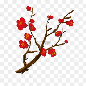 花卉梅花红色矢量图