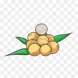 手绘果实龙眼插画