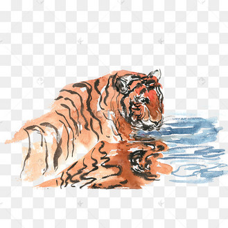 水中游泳的老虎水彩画png免抠素材