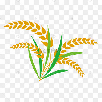 卡通小麦矢量图片_卡通小麦矢量设计图片素材大全-千库网