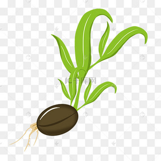 绿豆芽图片_绿豆芽设计图片素材大全-千库网