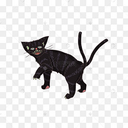 日本传统民间传说妖怪猫又例图