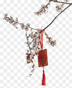 姻缘桃花许愿树