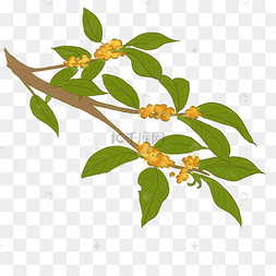 中秋节手绘花枝