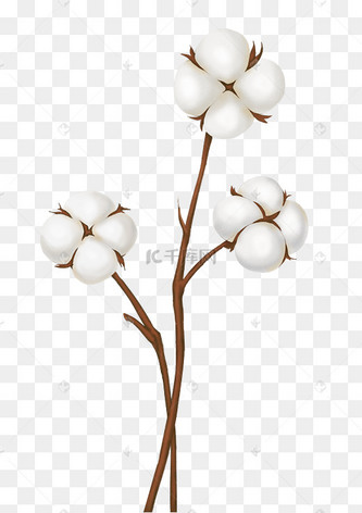 棉花卡通图片_棉花卡通设计图片素材大全-千库网