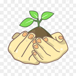 可爱手捧土壤幼苗