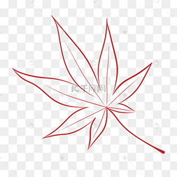 立秋手绘线稿红色枫叶