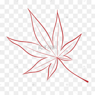 立秋手绘线稿红色枫叶