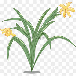 png下载ai中国风屏风兰花矢量图下载 png下载ai矢量免扣卡通兰花下载