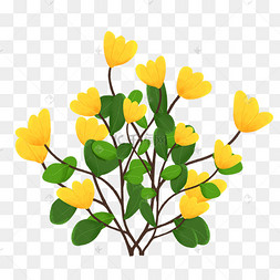 手绘插画鲜花黄花