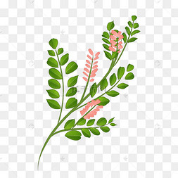 草药甘草