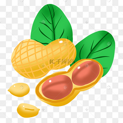 png下载psd卡通手绘花生花生叶png免抠素材下载 png下载psd秋季养生