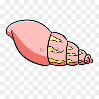 手绘彩色海螺插画