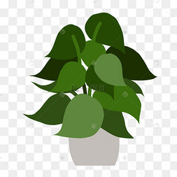 卡通可爱小清新绿萝