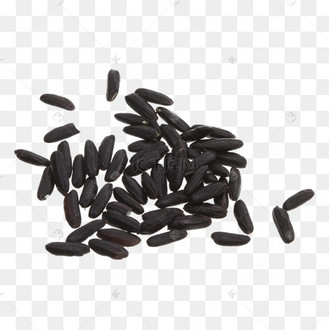 杂粮米粒图片_杂粮米粒设计图片素材大全-千库网