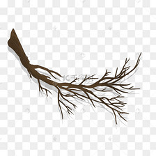 树杈树枝枯枝素材图片免费下载-千库网