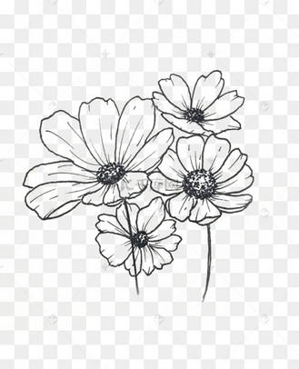 手绘小菊花黑白线稿