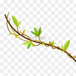 绿色植物叶子插画