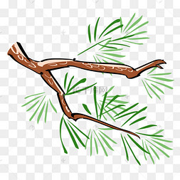 中国风手绘松针插画