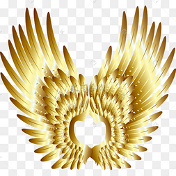 金色鸟翅膀