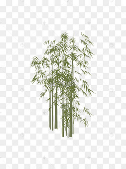 扁平简约手绘风绿色植物竹子竹林