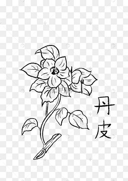 中医保健中医中药