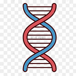 唐氏综合症染色体