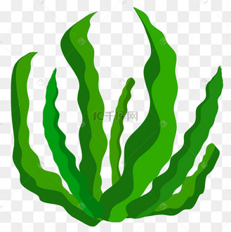 手绘矢量海洋动植物海带素材