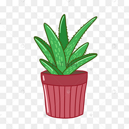 芦荟盆栽卡通