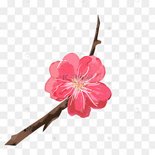 古风腊梅冬季花枝