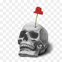 国际禁毒日恐怖手绘骷髅头里生罂