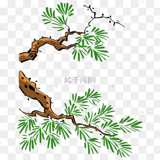 手绘国画松树插画