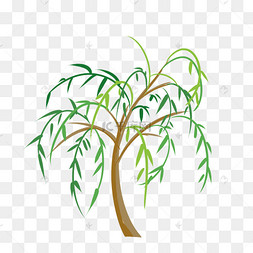 柳树小燕子卡通