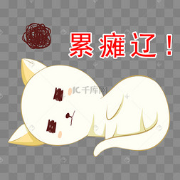 累的睡着的猫咪